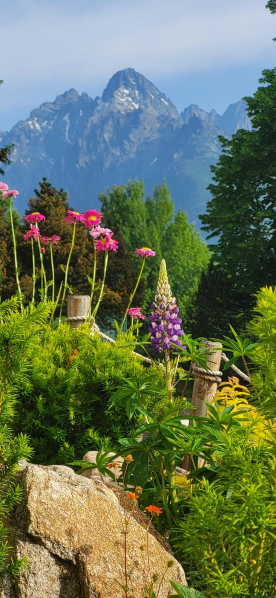 Vila Kollar Vysoké Tatry Cameră foto